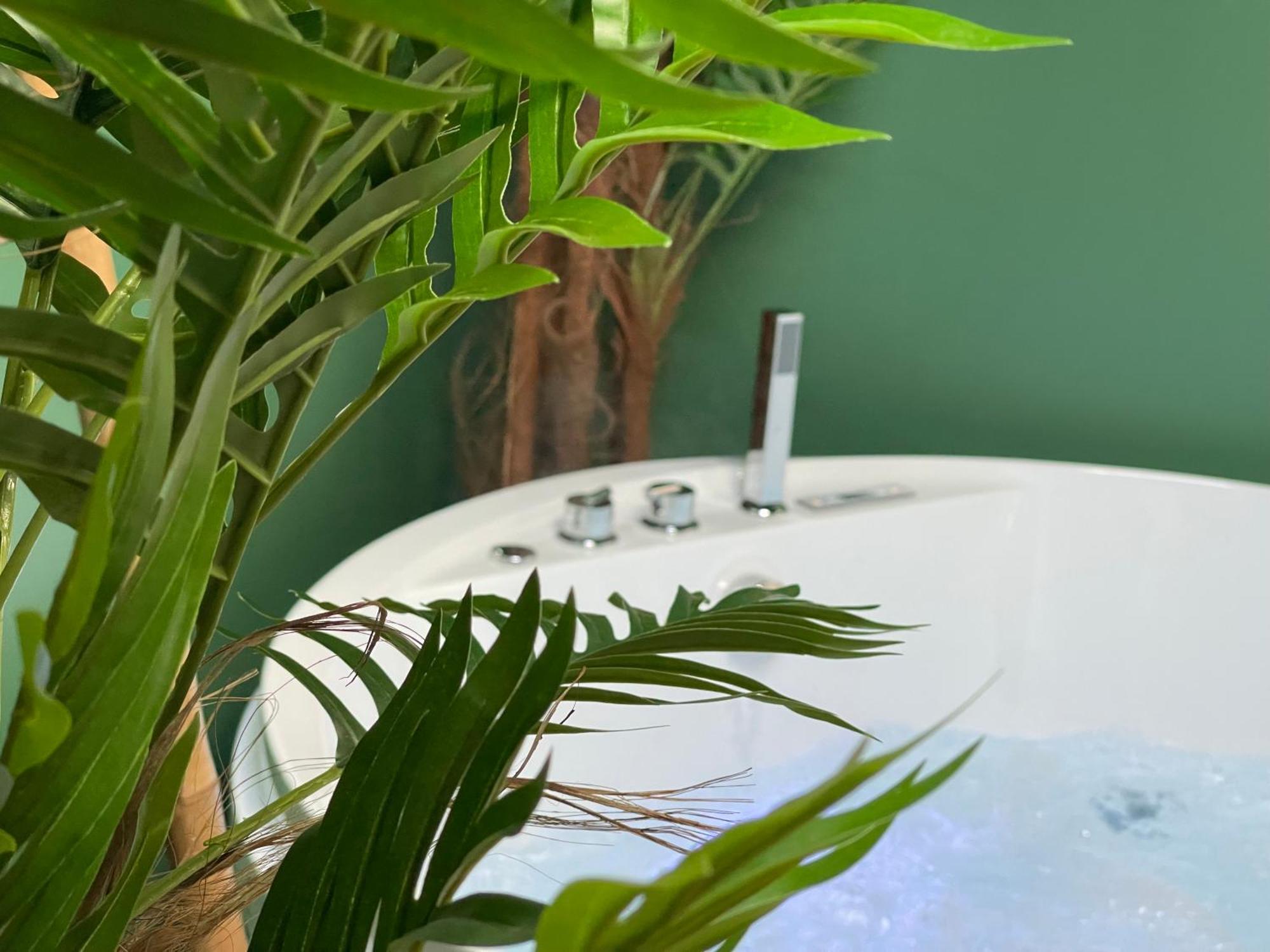 Evasion Exotique - Selva - Jaccuzzi Privatif * Amiens